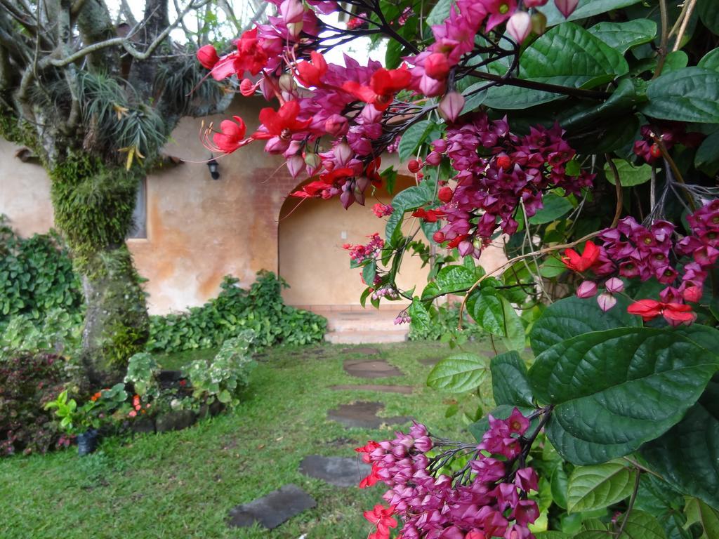 Valle Primavera Hotel Boquete Exterior photo